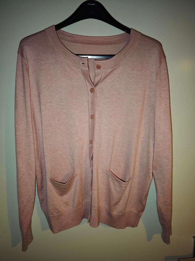 Mooi zalmroze roze vest Large, Ophalen of Verzenden, Zo goed als nieuw, Maat 42/44 (L), Roze