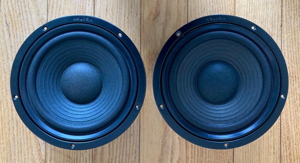 2 x Visaton W 200 NG 4 Ohm woofers, Audio, Tv en Foto, Luidsprekers, Overige merken, Ophalen of Verzenden, Zo goed als nieuw, 60 tot 120 watt