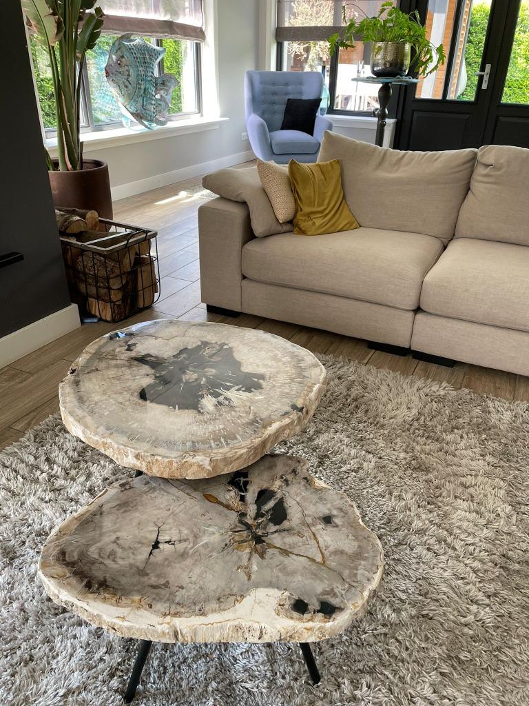 Versteend Hout Salontafels, Ophalen of Verzenden, Nieuw, Overige vormen, Metaal