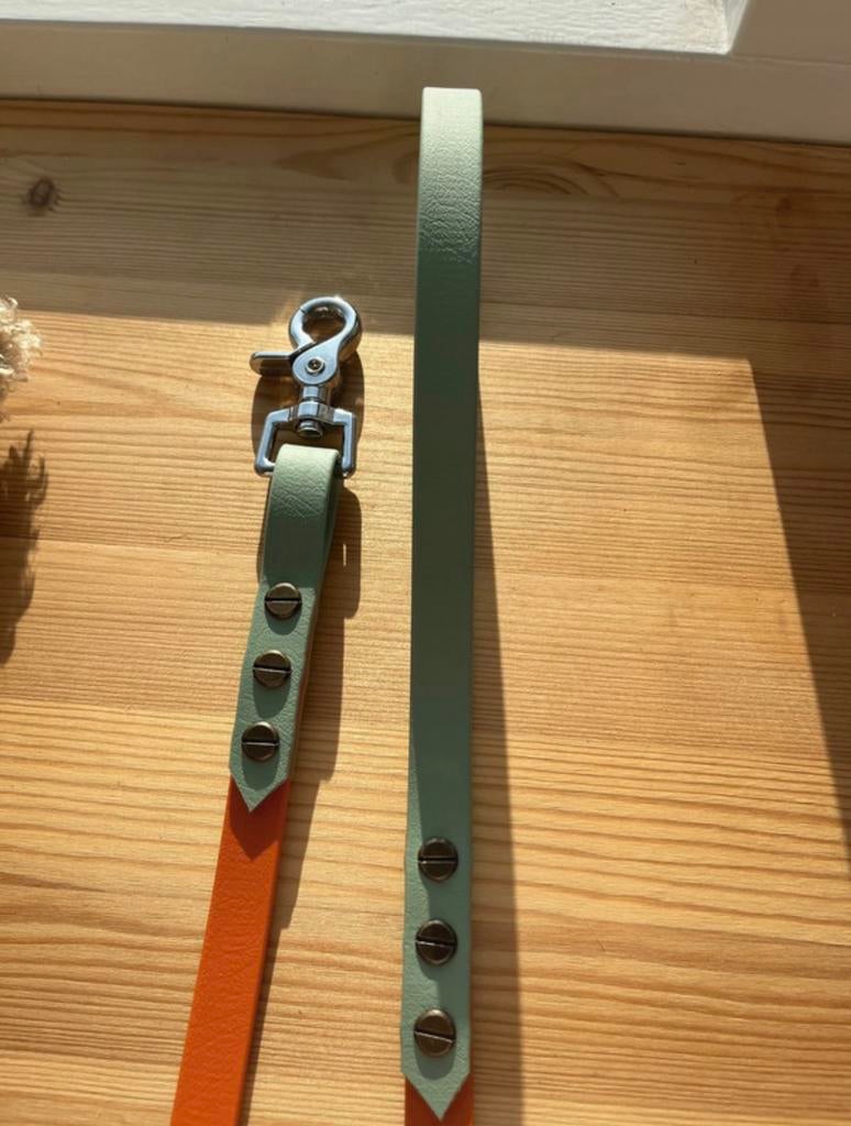 Biothane hondenlijn, Dieren en Toebehoren, Ophalen of Verzenden, Nieuw, Hondenriem