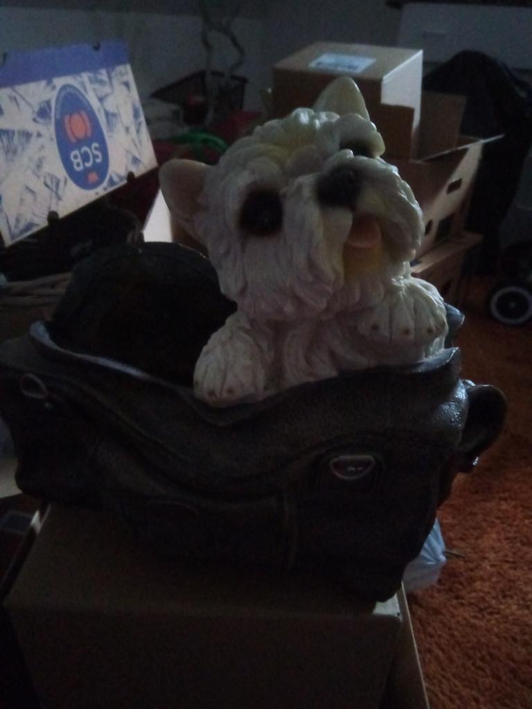 Leuke Maltezer in tas, Ophalen