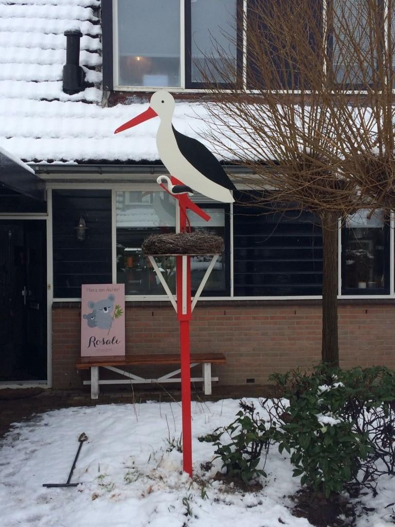 Geboorte ooievaar huren Tubbergen, Ophalen, Gebruikt