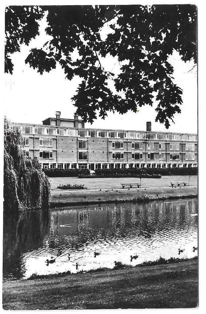 AK Breda - Diaconessenhuis, Zuidkant met Wilg, Verzenden, 1960 tot 1980, Gelopen, Noord-Brabant