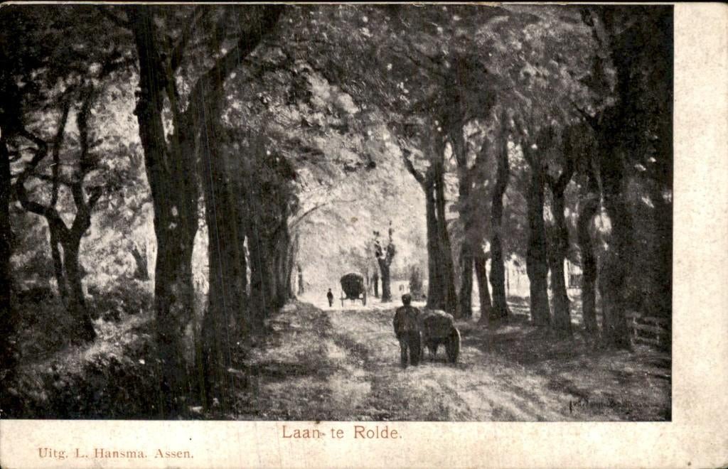 Rolde - Laan - te Rolde, Ophalen of Verzenden, Voor 1920, Gelopen, Drenthe