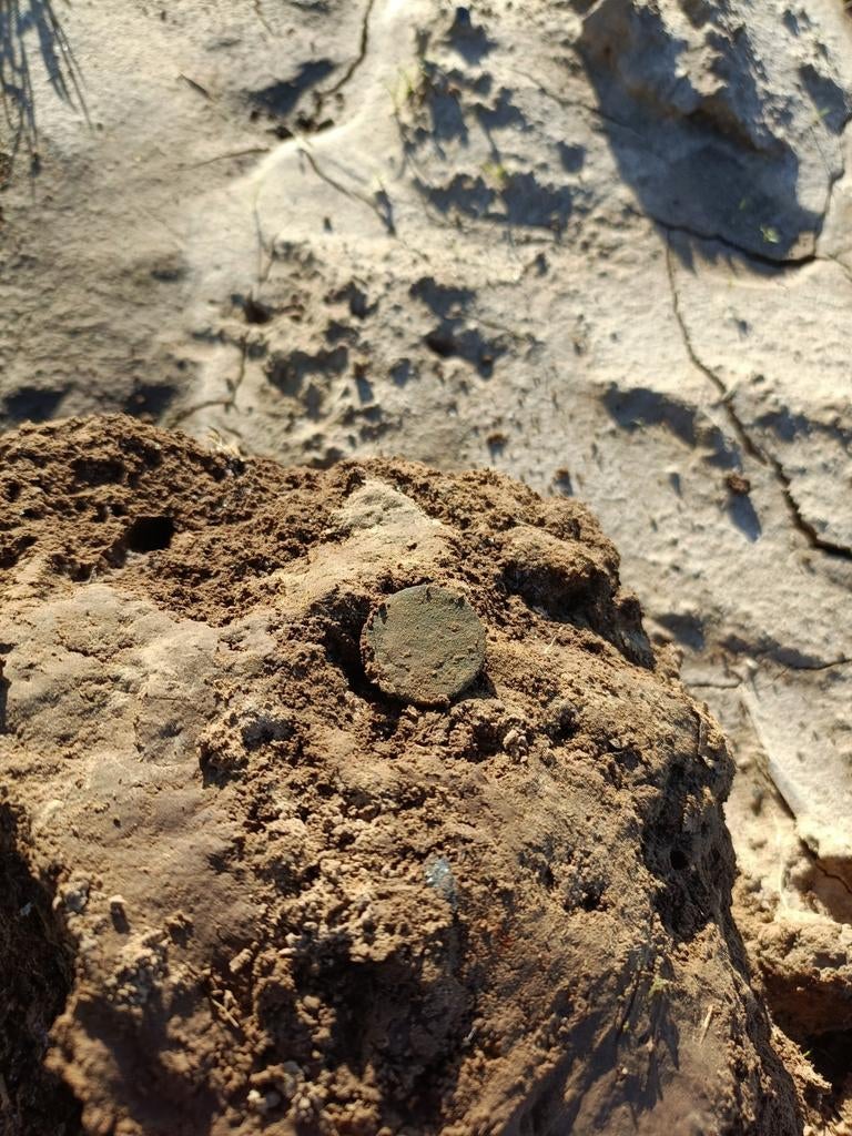 Grond gezocht voor metaaldetector hobbyist, Ophalen, Overige merken