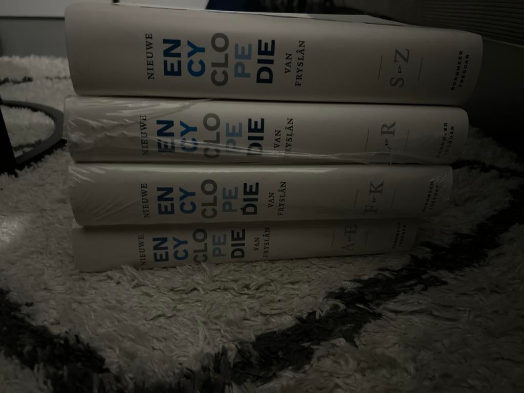 Nieuwe Encyclopedie van Fryslân - Complete Serie (4 delen), Ophalen of Verzenden, Zo goed als nieuw, Algemeen, Complete serie