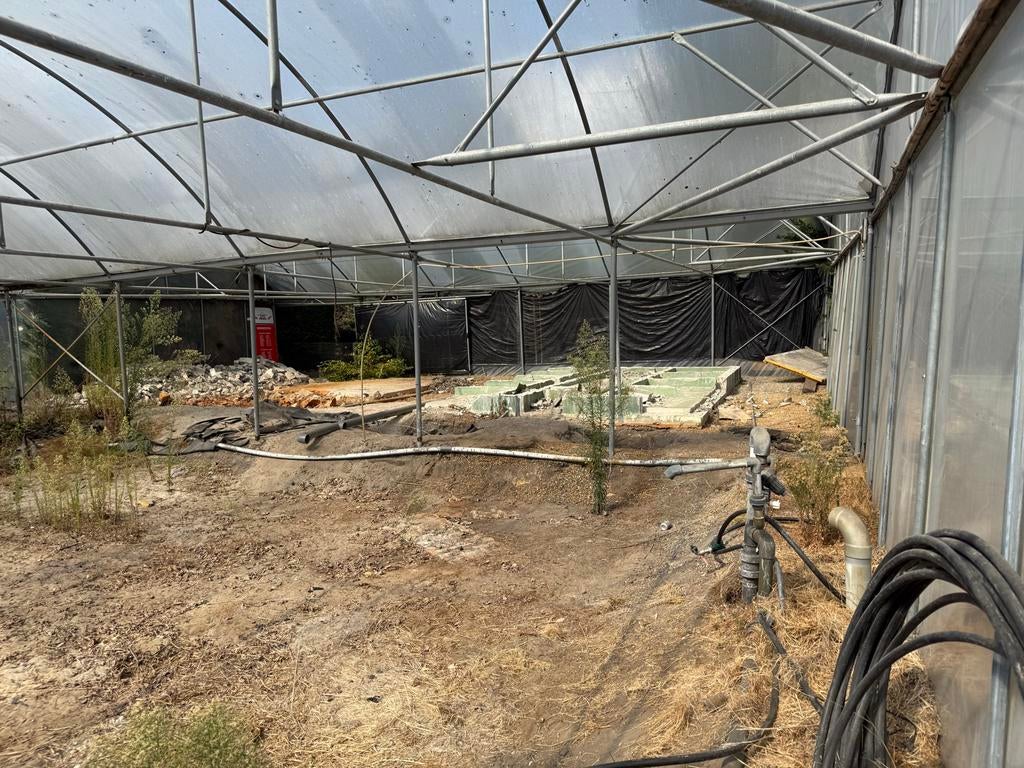 Tunnelkas 14x17 meter., Tuin en Terras, Kassen, Ophalen, Gebruikt, Staal, Kweekkas