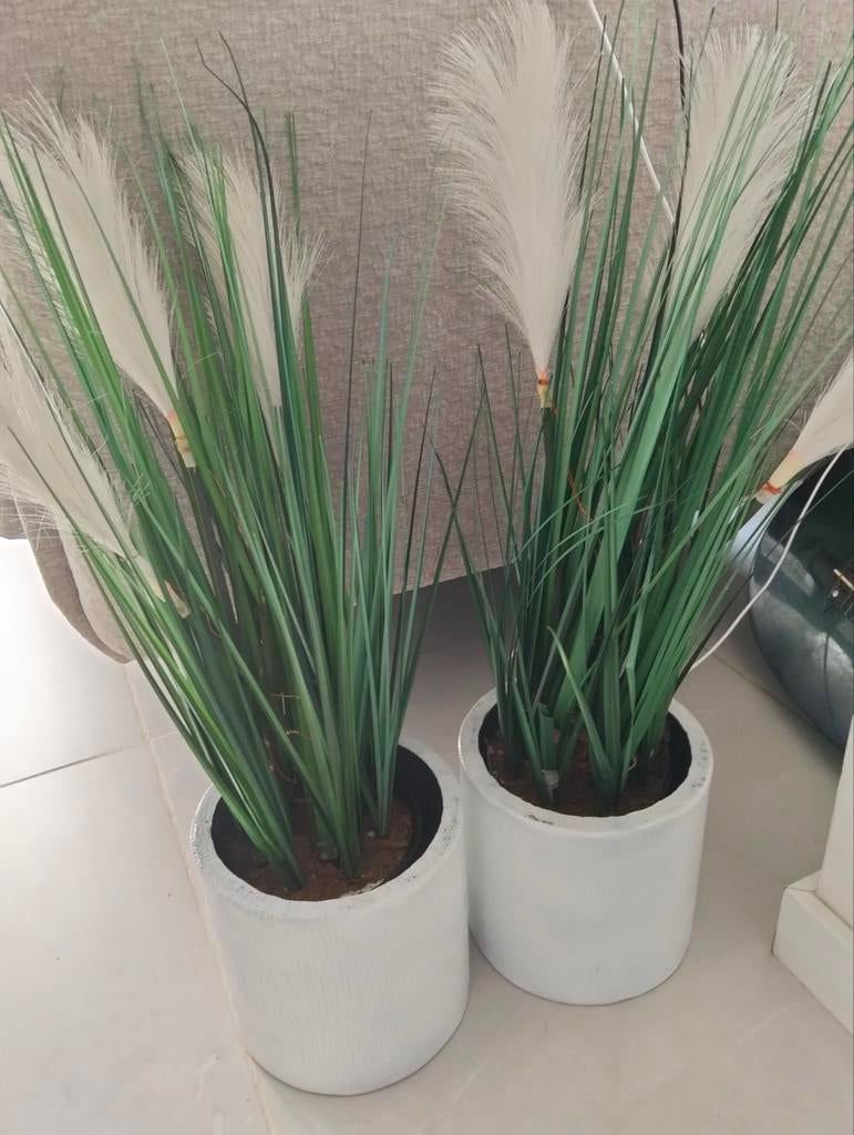 2 x kunstplant/veer inclusief pot, Ophalen of Verzenden, Halfschaduw, Minder dan 100 cm