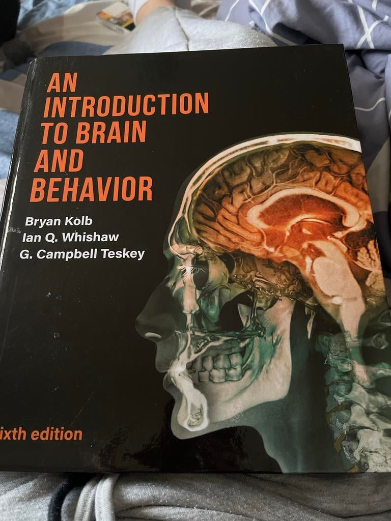 An introduction to brain and behaviour, Boeken, Ophalen of Verzenden, Beta, Gelezen, WO
