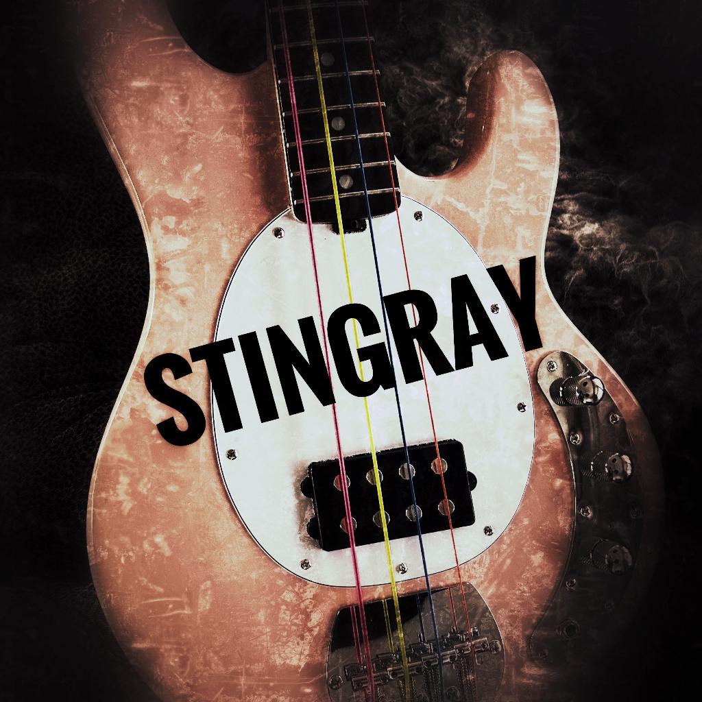 Bass Collection – Electric, Upright & Fretless (Pre-Loved), Elektrisch, Gebruikt, 1722ea 231, Ophalen of Verzenden