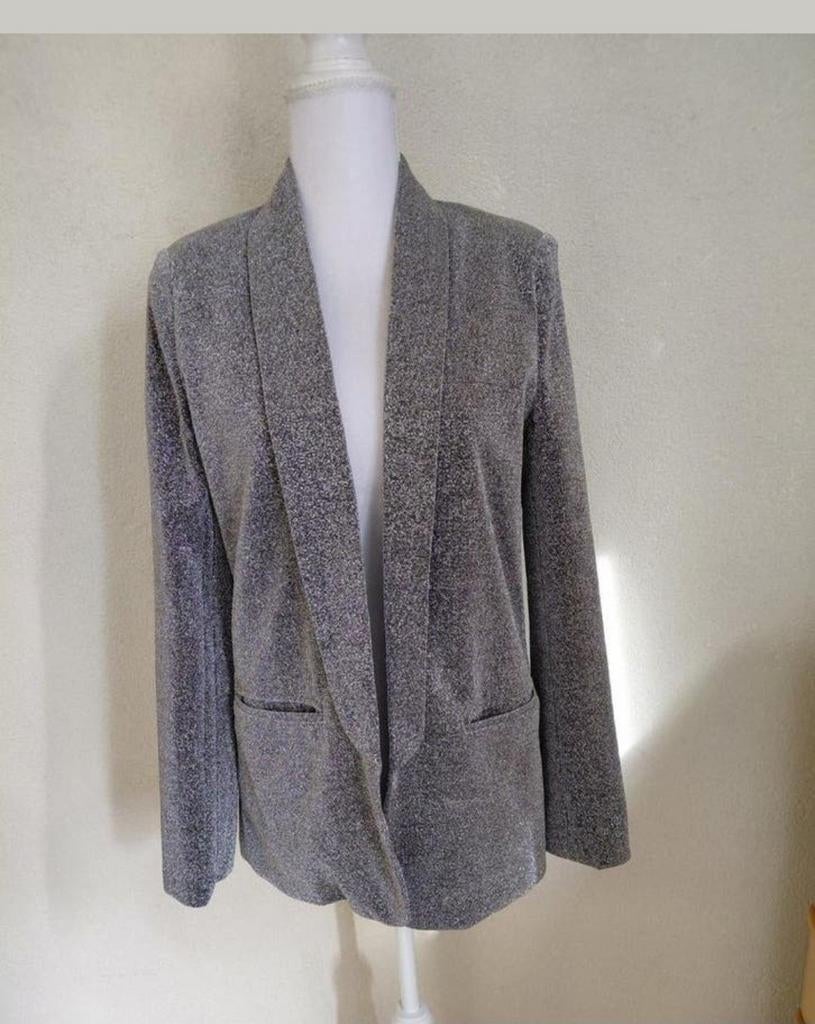 Loavies Glitter Blazer Maat M, Maat 38/40 (M), Ophalen of Verzenden, Jasje, Grijs