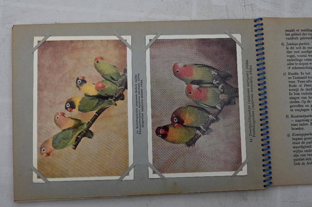 Vogelpracht in Avifauna plaatjes album Taminiau's deel 2 + 3, Boeken, Ophalen of Verzenden, Gelezen, Vogels, A.B. Wigman