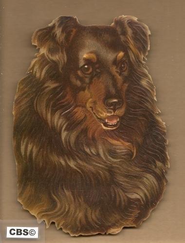 Hondenkop poezieplaatjes 5031, Ophalen of Verzenden