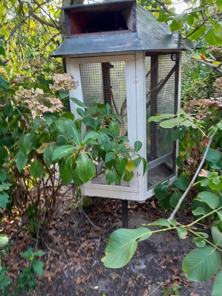 vogelkooi, volieren, kanarie kooi, duiven, dierenverblijf, Ophalen of Verzenden, Gebruikt, Hout, Vogelkooi
