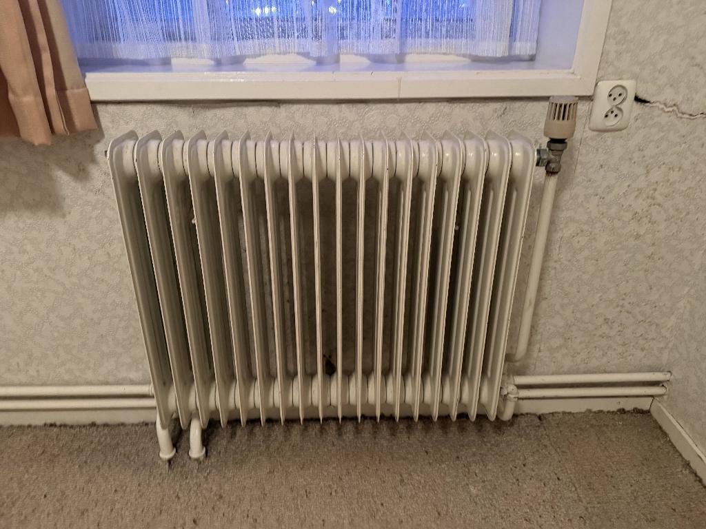ledenradiator / Kolomradiator div. maten (vintage), Doe-het-zelf en Verbouw, Ophalen, 30 tot 80 cm, Gebruikt, Radiator