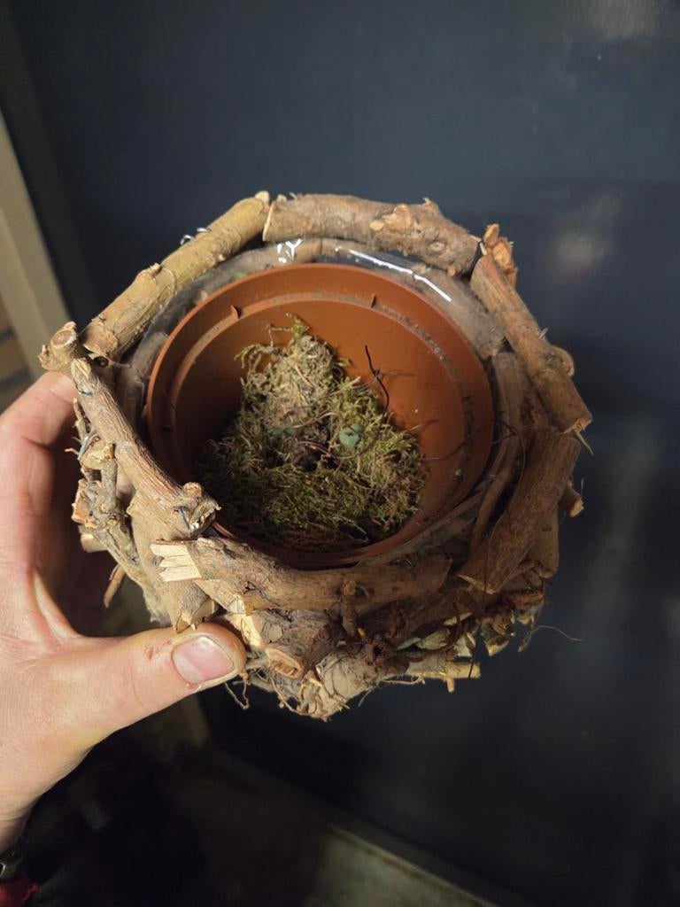 Vogelnest bloempot, Ophalen of Verzenden, Meerdere media