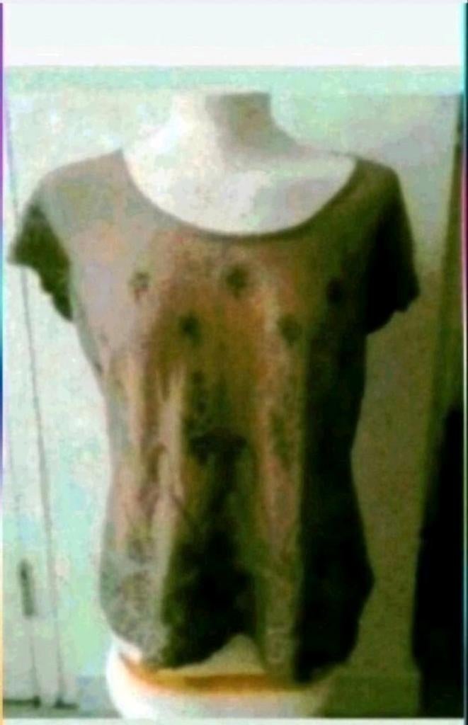 Superstar bruin blouse, Bruin, Maat 46/48 (XL) of groter, Ophalen of Verzenden, Zo goed als nieuw