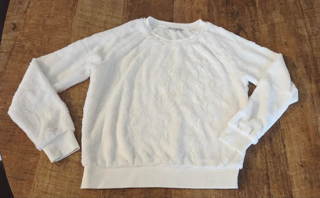 Wit truitje van Clockhouse maat S, Kleding | Dames, Truien en Vesten, Zo goed als nieuw, Wit, Ophalen of Verzenden