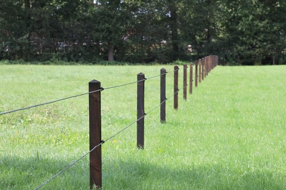 8. Afrastering | paarden afrastering | permanentkabel, Weidegang, 4 paarden of pony's of meer