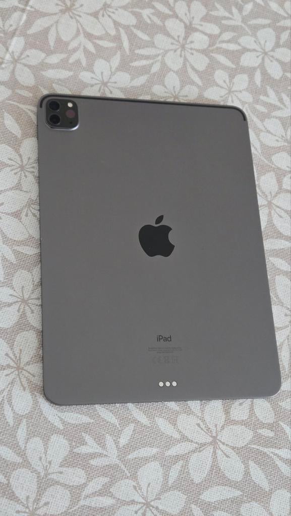 iPad Pro 11 inch (2e generatie) - iCloud, Ophalen, 11 inch, Zo goed als nieuw, Apple iPad Pro