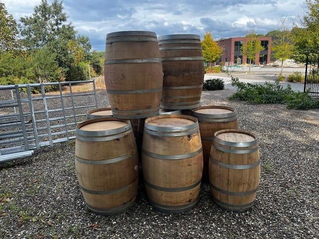 Wijnvaten 220 liter Eiken regenton, 150 liter of meer, Ophalen, Nieuw, Hout