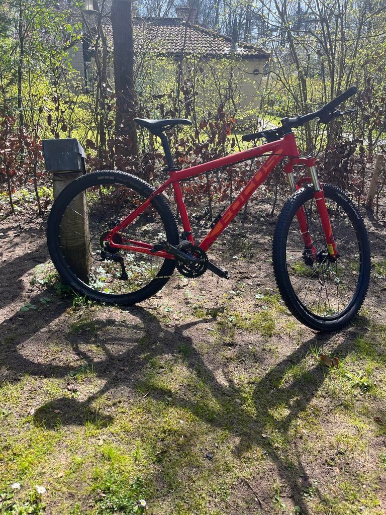 Rode Focus mountainbike, Gebruikt, Hardtail, Heren, 53 tot 57 cm