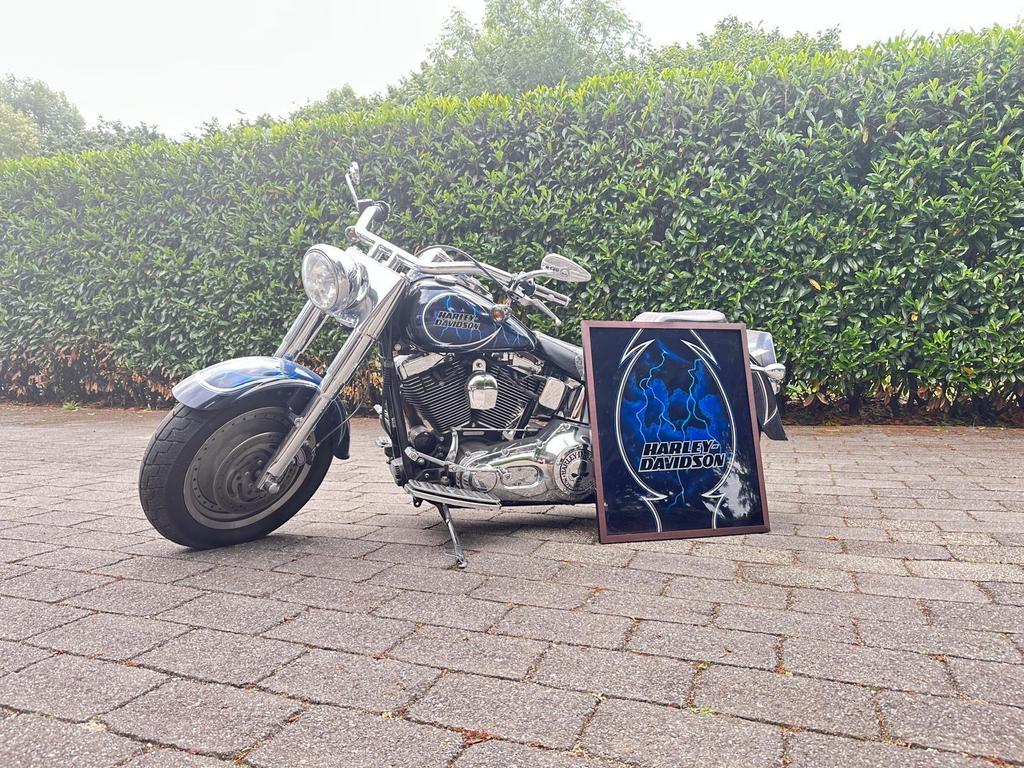 Harley-Davidson Softail Fat Boy 2007 - Custom Lak, 2 cilinders, Particulier, Meer dan 35 kW, Chopper