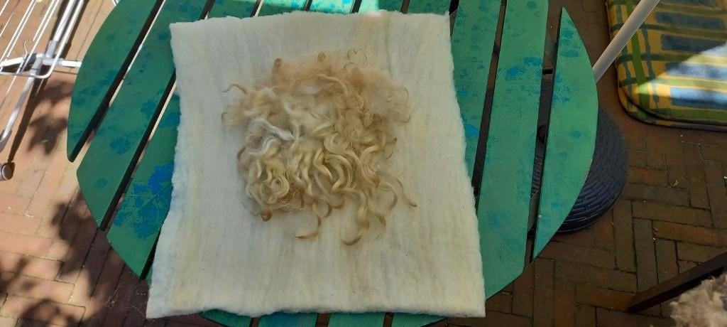 gevilte gekaarde Texelaar wol + middenstukje Racka, Verzenden, Nieuw, Versiering, Wolvilt