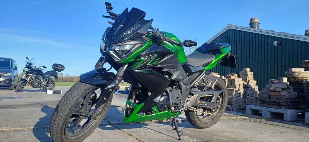 Kawasaki Z300 Performance