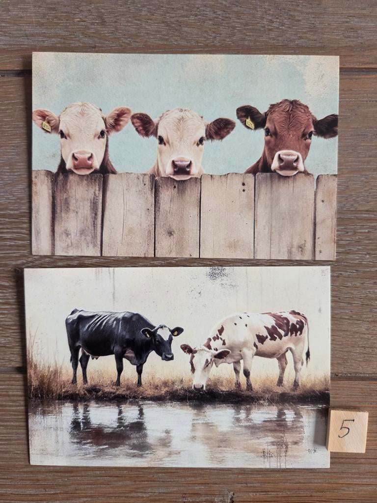 KOEIEN A 5, Ophalen, 2000 tot heden