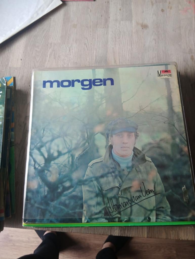 Herman van Veen - Morgen LP, Ophalen of Verzenden, 1960 tot 1980, Gebruikt, 12 inch