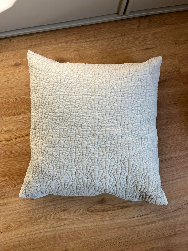 Fluweel kussen inkl. binnenkussen (dons), Ophalen of Verzenden, Zo goed als nieuw, Groen, Vierkant