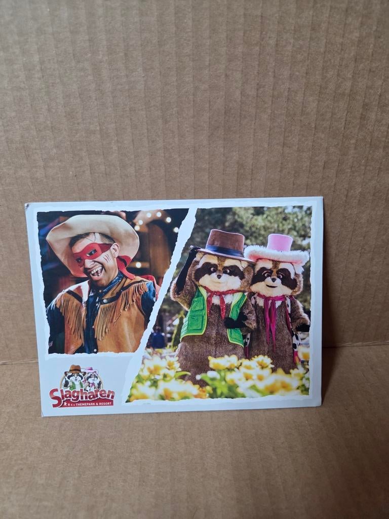 Slagharen Ansichtkaart, Ophalen of Verzenden, 1980 tot heden, Ongelopen