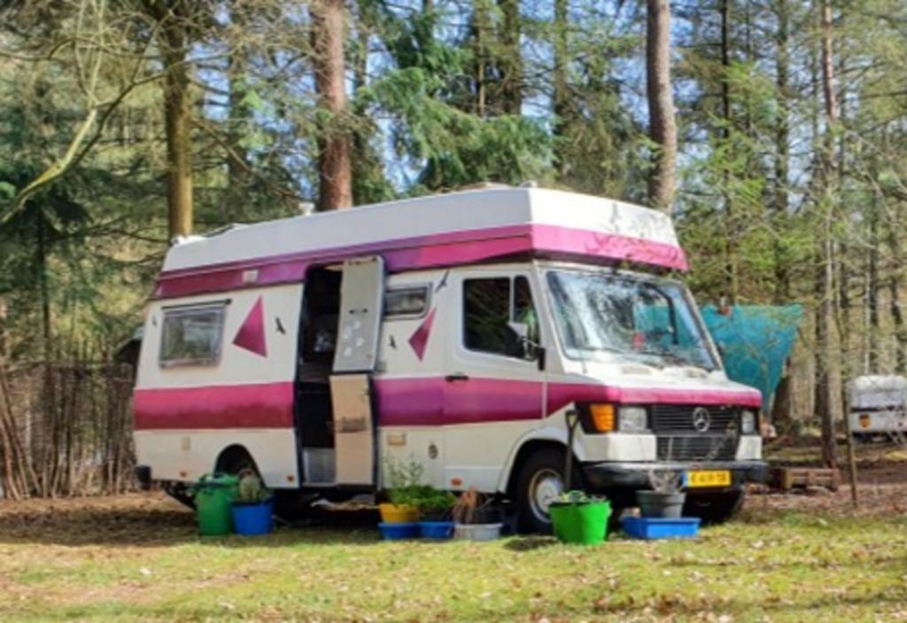 Mercedes-Benz 307D (1980) Kampeerauto/Camper, 65 pk, Achterwielaandrijving, Overige modellen, 4 stoelen