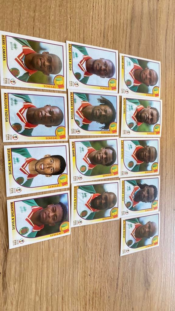 Panini wk 2002 senegal, Ophalen of Verzenden, Zo goed als nieuw, Sticker