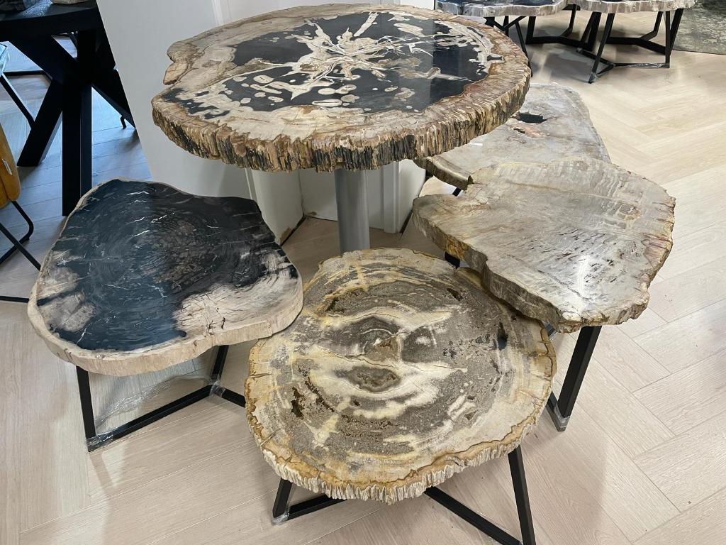 Versteend Hout Salontafels  - Fossiele versteende salontafel, Nieuw, Overige vormen, Minder dan 50 cm, 50 tot 100 cm