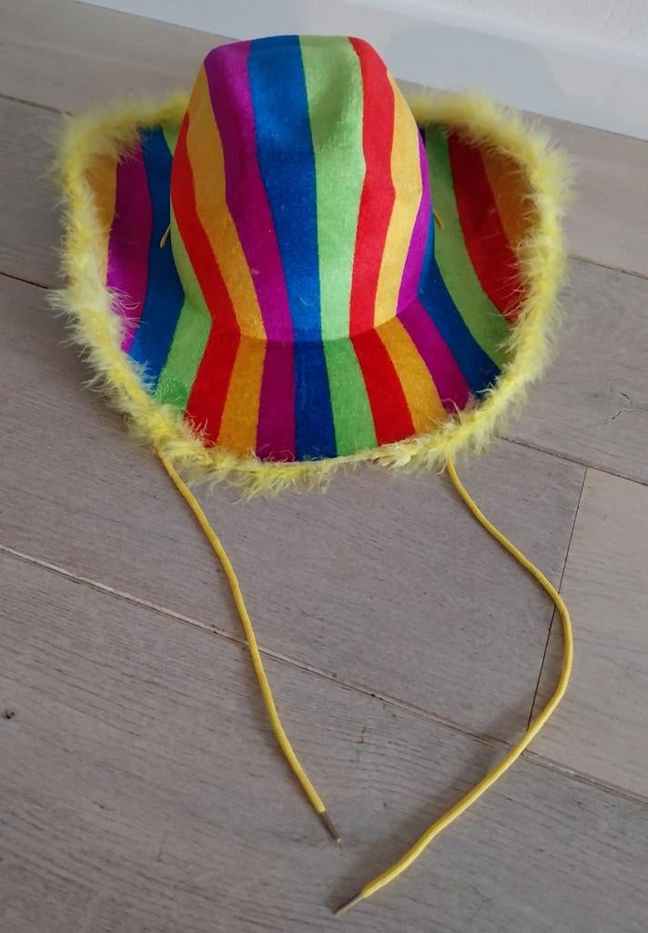 Z.g.a.n. Velours Carnavalshoed regenboog kleuren met veren, Carnaval, Maat 42/44 (L), Ophalen of Verzenden, Zo goed als nieuw