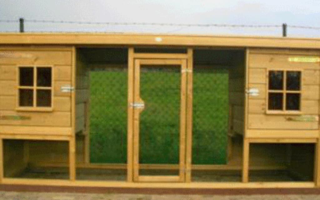 Konijnenhok konijnenren handgemaakt nieuw, Meerdere dieren, Dwerg