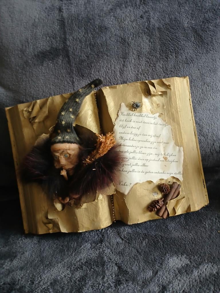 Mooi heksen boek., Ophalen of Verzenden