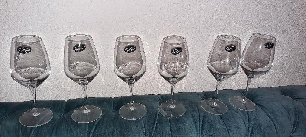 luigi bormioli accademia wijnglazen, Ophalen of Verzenden, Nieuw, Bierglas