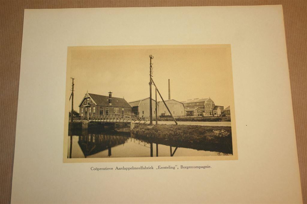 Antieke foto Aardappelmeelfabr. Eersteling Borgercompagnie, Ophalen of Verzenden, Voor 1940, Gebruikt, Overige onderwerpen