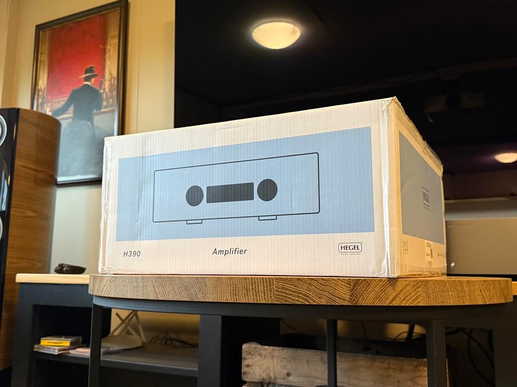 Hegel H390, Overige merken, Ophalen of Verzenden, Zo goed als nieuw, /