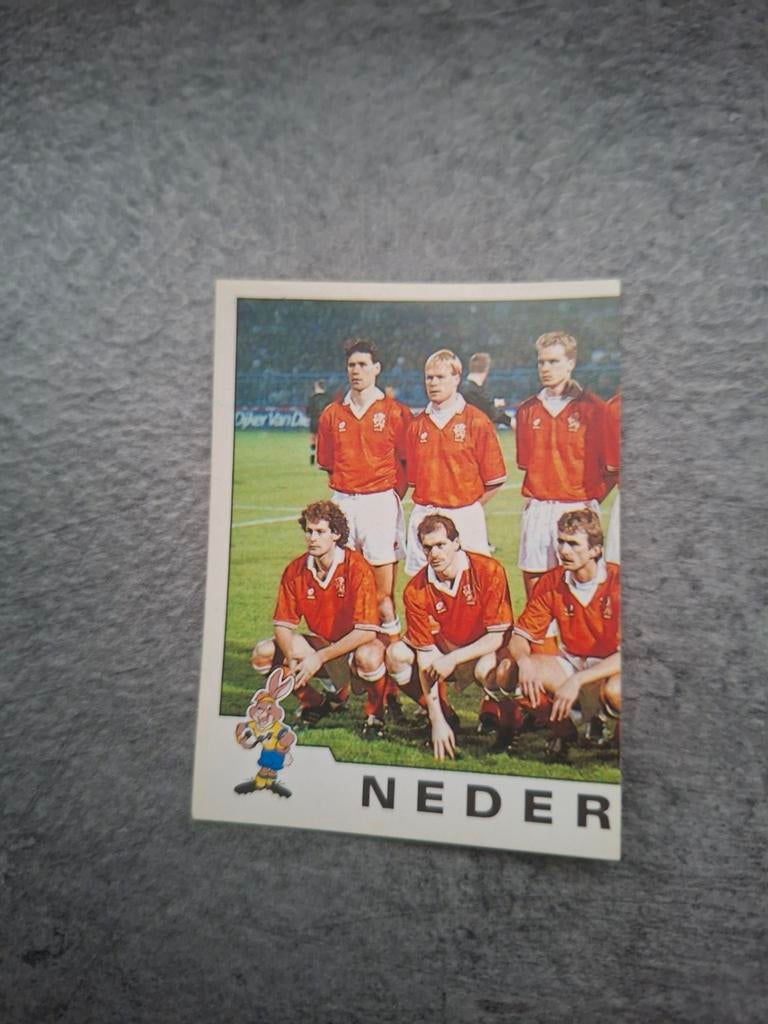 Panini sticker Euro 92 Zweden. Deel elftalfoto Nederland., Verzenden, Zo goed als nieuw, Sticker