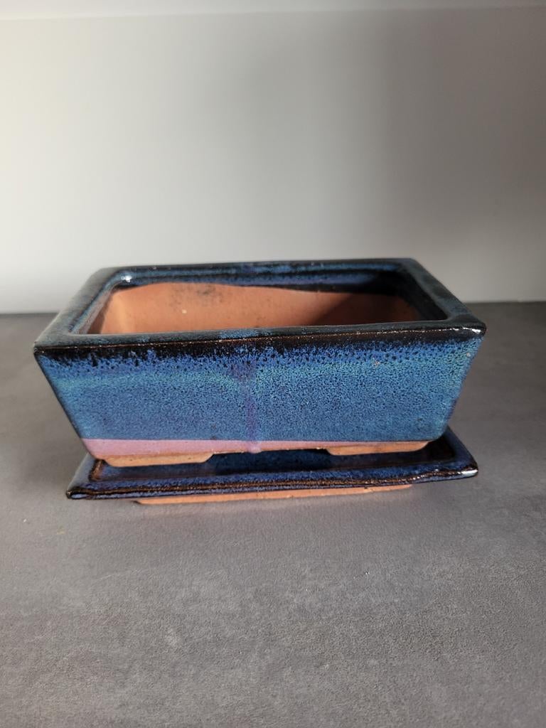 Mooie blauwe bonsai pot met schotel, Overige materialen, Minder dan 30 cm, Minder dan 60 cm, Ophalen of Verzenden