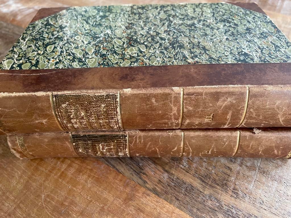 Geschiedkundige Beschrijving Stad Groningen (antiquarisch), Boeken, Ophalen of Verzenden, Gelezen