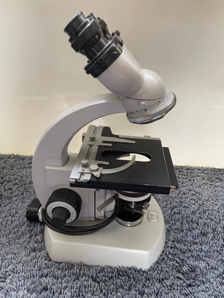 Microscoop Carl Zeiss, Ophalen, Gebruikt, 400x tot 1000x, Biologische microscoop