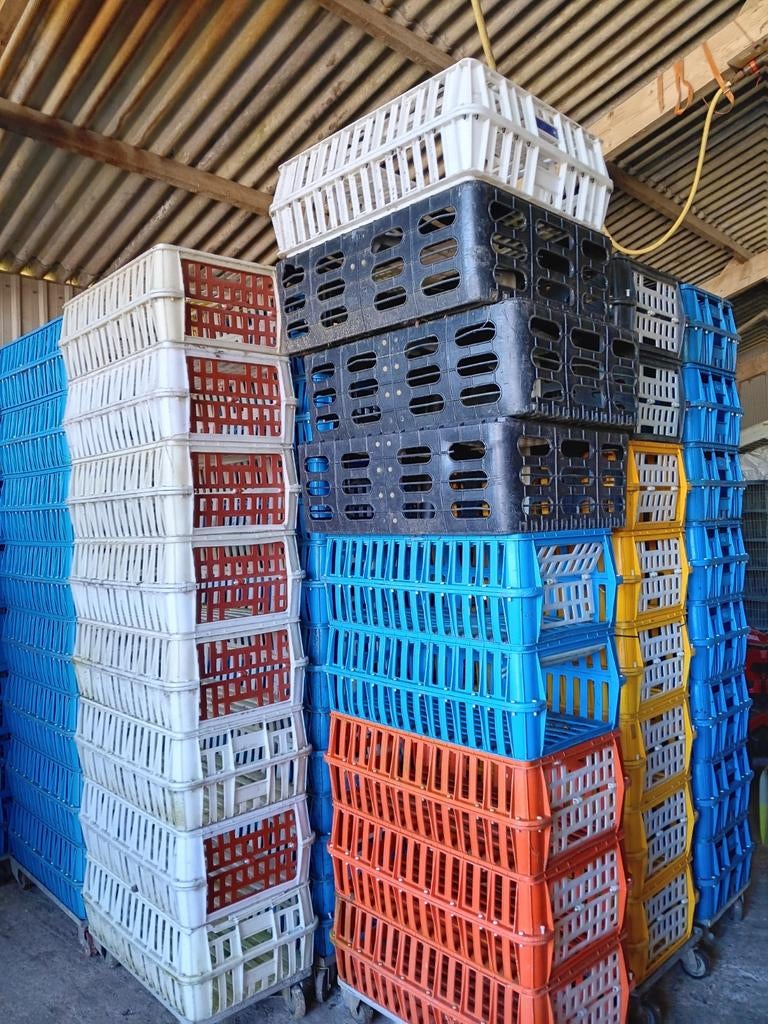 Te koop pluimvee kratten, ook geschikt voor konijnen, Ophalen of Verzenden, Gebruikt, Drinken en Voederen