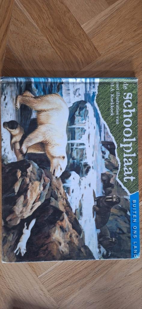 Buiten ons land, Ophalen of Verzenden, Zo goed als nieuw, Non-fictie