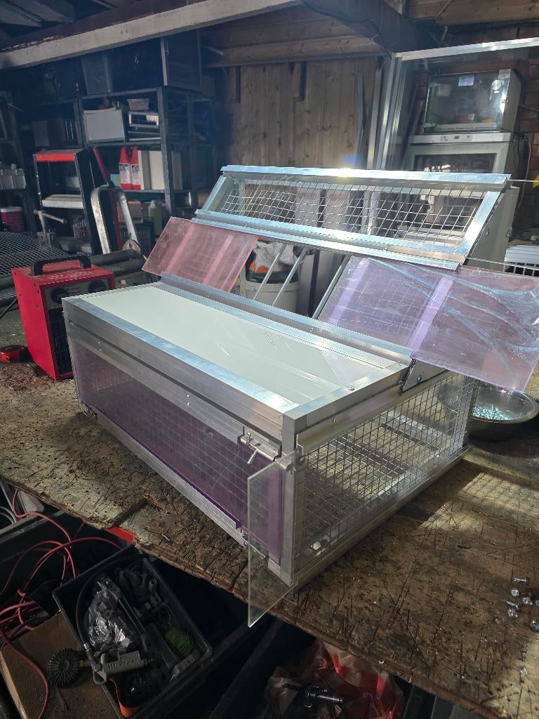 Duiven spoetniks nieuw!!, Meerdere dieren, Overige soorten