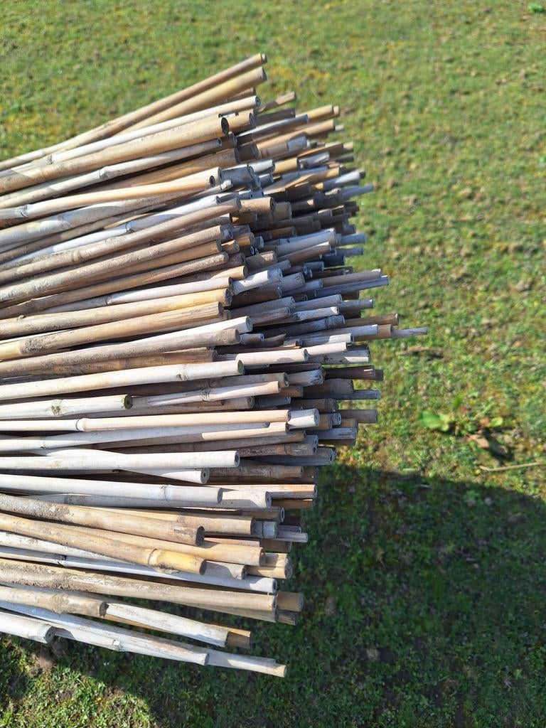 Bamboe stokken, Ophalen of Verzenden, Overige typen